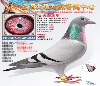 大理九鼎决赛亚军