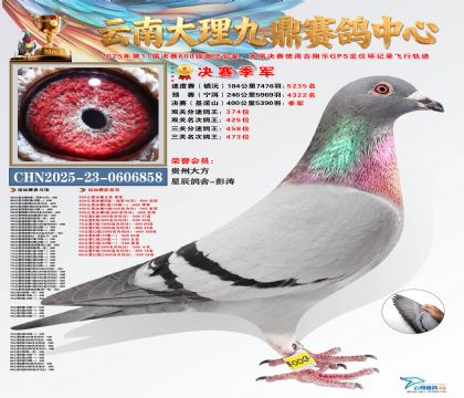 大理九鼎决赛季军