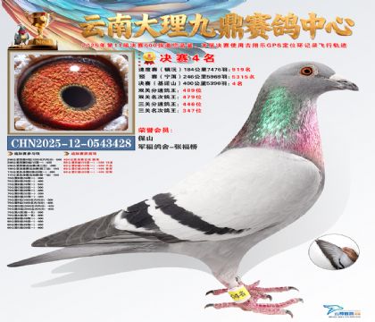 大理九鼎决赛4名