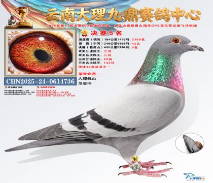 大理九鼎决赛5名