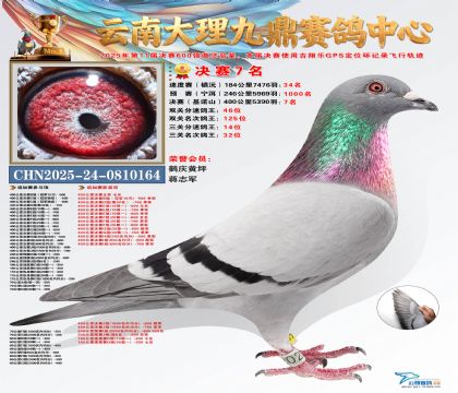 大理九鼎决赛7名