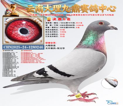 大理九鼎决赛6名