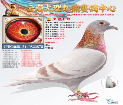 大理九鼎决赛8名