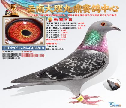 大理九鼎决赛9名