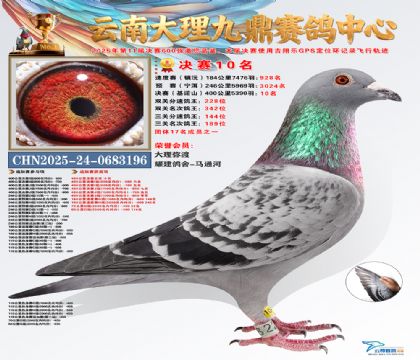 大理九鼎决赛10名