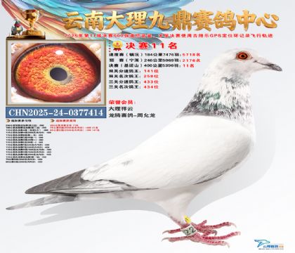 大理九鼎决赛11名