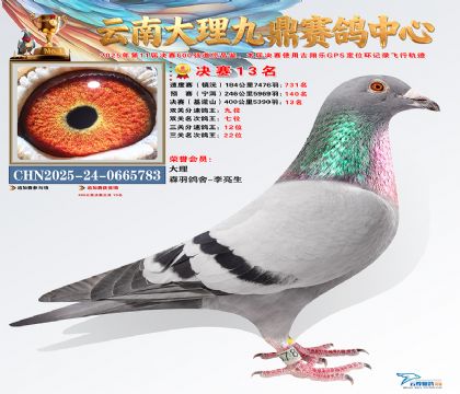 大理九鼎决赛13名