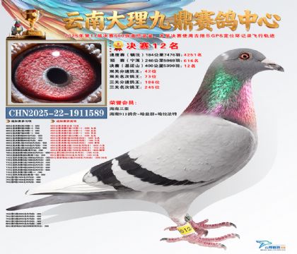 大理九鼎决赛12名