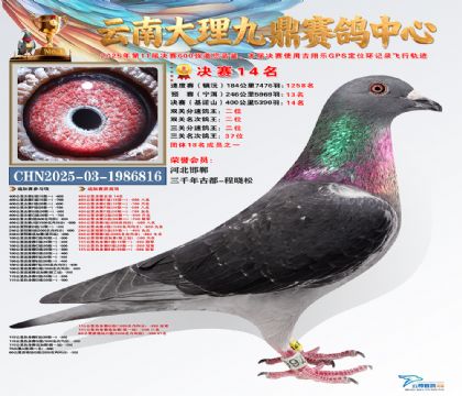 大理九鼎决赛14名