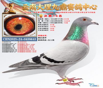 大理九鼎决赛16名