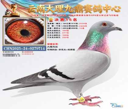 大理九鼎决赛15名