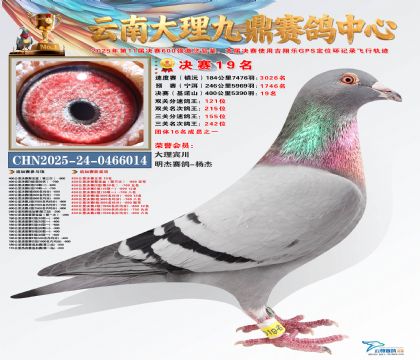 大理九鼎决赛19名