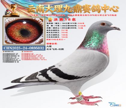 大理九鼎决赛18名