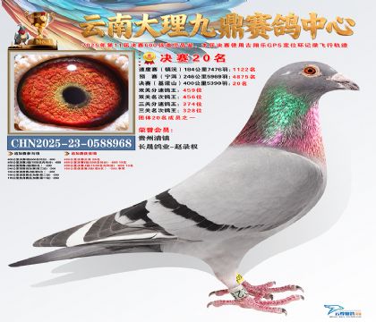 大理九鼎决赛20名