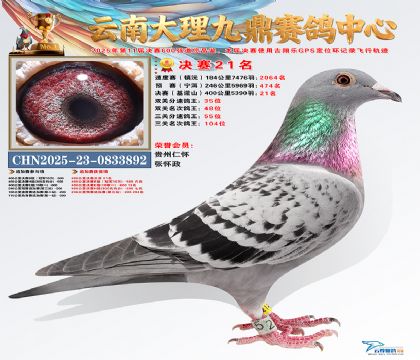 大理九鼎决赛21名