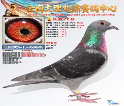 大理九鼎决赛22名