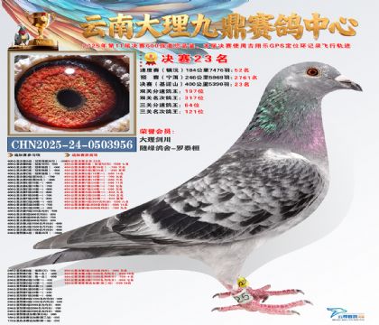 大理九鼎决赛23名