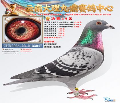 大理九鼎决赛24名