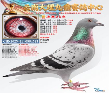 大理九鼎决赛25名