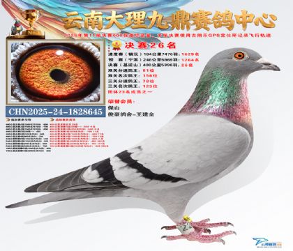 大理九鼎决赛26名