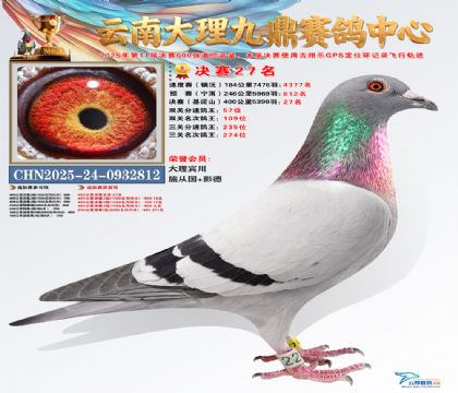 大理九鼎决赛27名