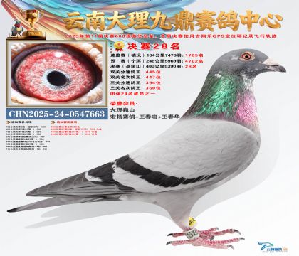 大理九鼎决赛28名