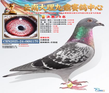 大理九鼎决赛29名