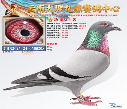 大理九鼎决赛31名