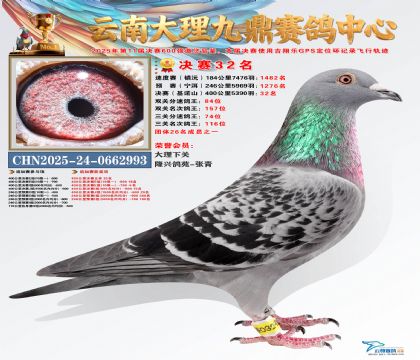 大理九鼎决赛32名