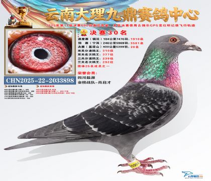 大理九鼎决赛30名