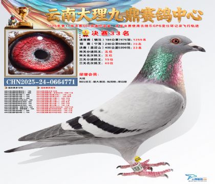 大理九鼎决赛33名