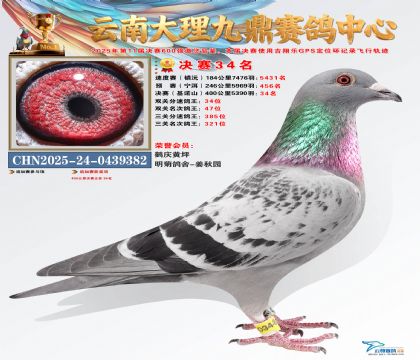 大理九鼎决赛34名