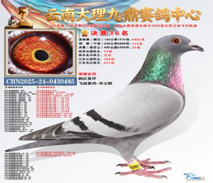 大理九鼎决赛36名