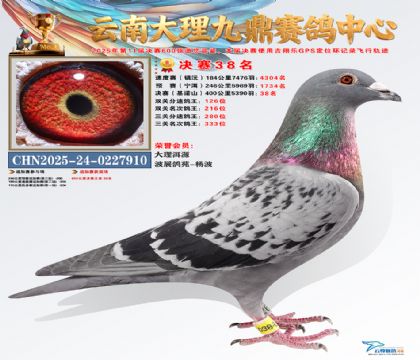 大理九鼎决赛38名