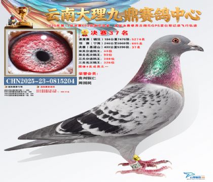 大理九鼎决赛37名