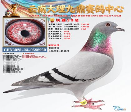 大理九鼎决赛39名