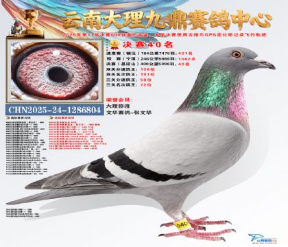 大理九鼎决赛40名