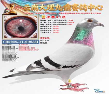 大理九鼎决赛41名