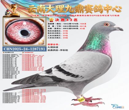 大理九鼎决赛43名