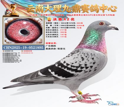 大理九鼎决赛42名