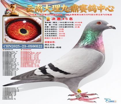 大理九鼎决赛45名