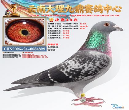 大理九鼎决赛44名