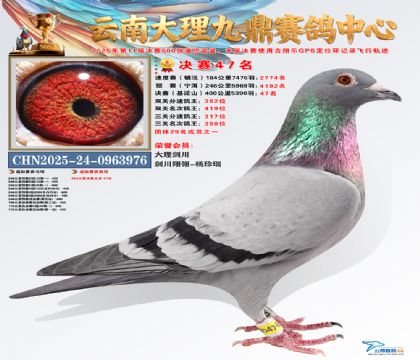 大理九鼎决赛47名