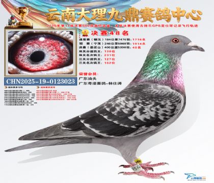 大理九鼎决赛48名