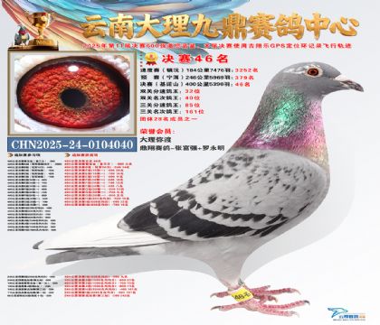 大理九鼎决赛46名