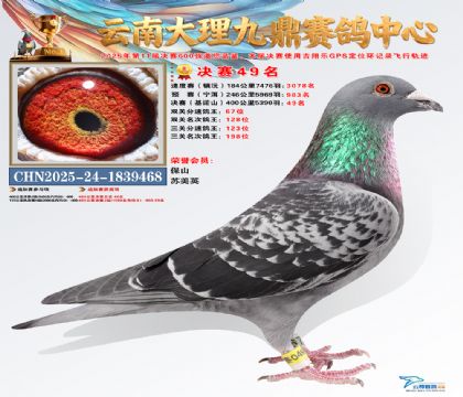 大理九鼎决赛49名