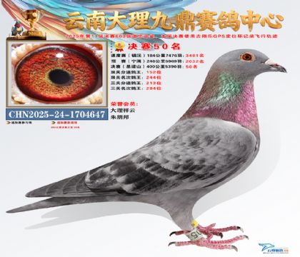 大理九鼎决赛50名