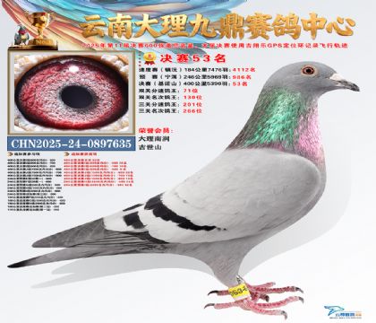 大理九鼎决赛53名