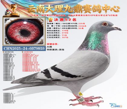 大理九鼎决赛52名