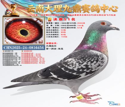 大理九鼎决赛51名